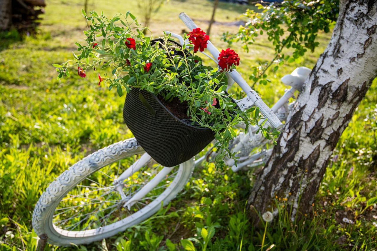 Country house Kuca Za Odmor Grunt